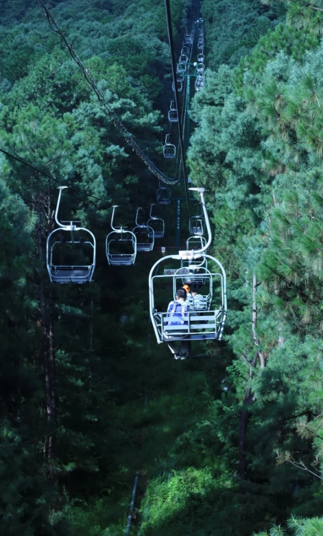 dali cable car cost