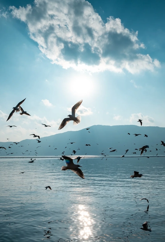 Dianchi Lake full day tour Dianchi Lake full day tour