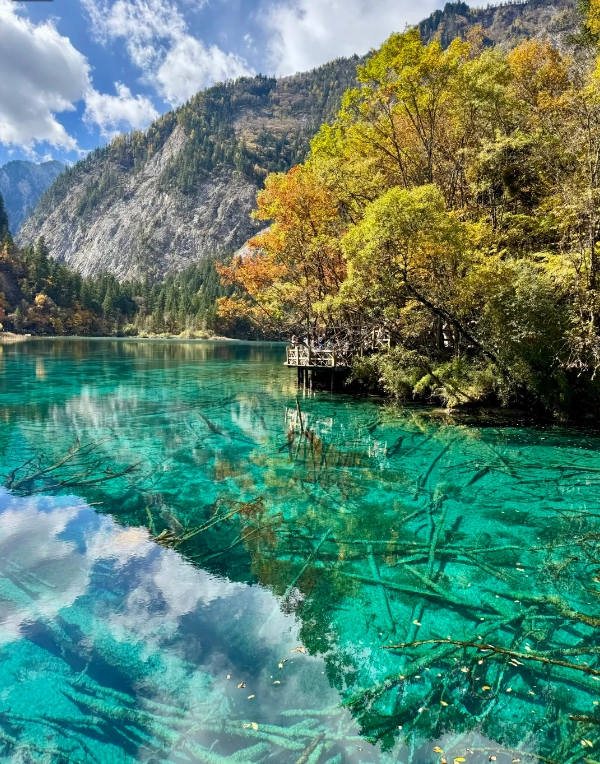 Jiuzhaigou National Park Tickets: Avoid These 5 Booking Traps