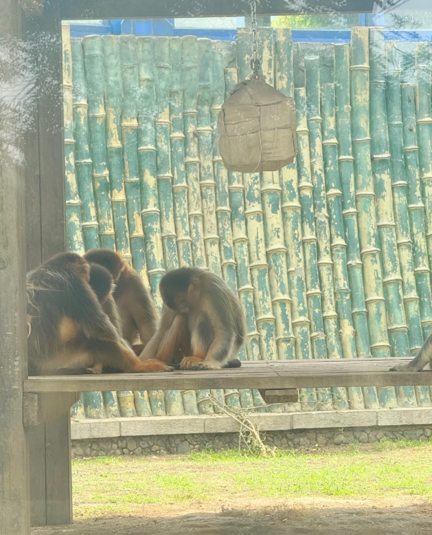 Dalian Forest Zoo tips