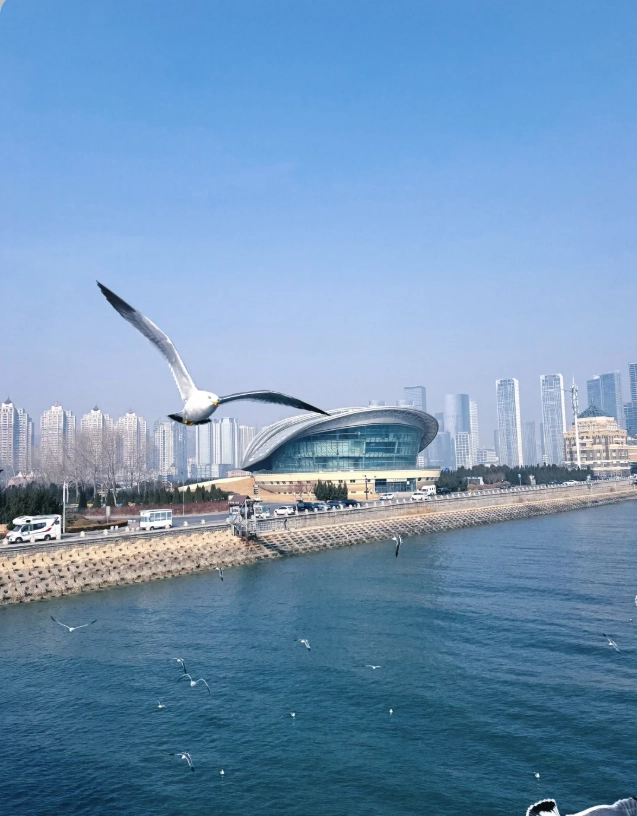 Dalian night attractions Dalian night attractions