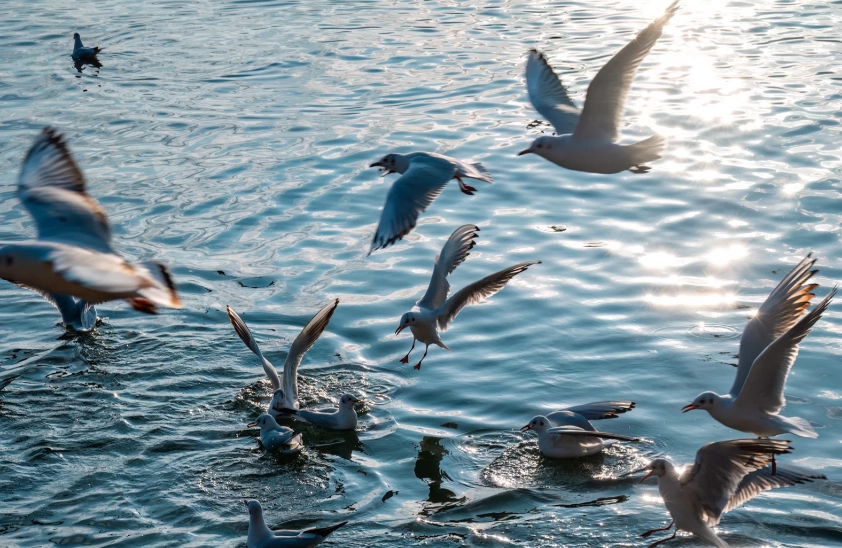 Dianchi Lake hours needed Dianchi Lake hours needed