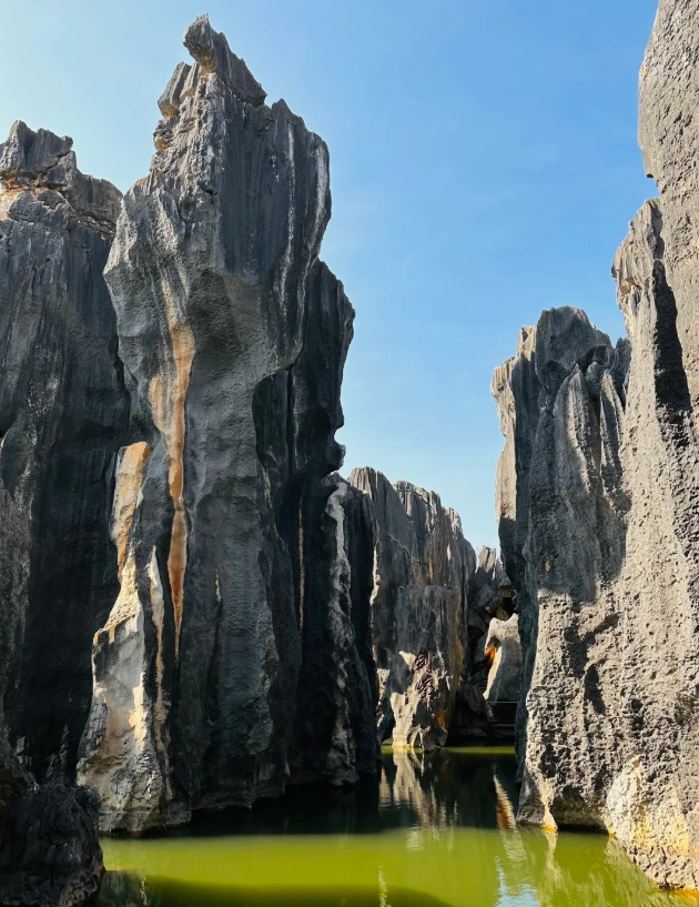 Stone Forest entrance fee Stone Forest entrance fee