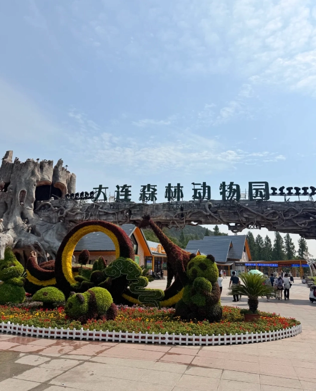 How to visit Dalian Forest Zoo: Skip the crowds and save time