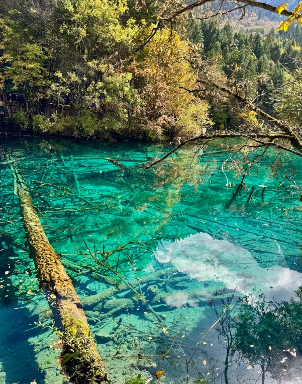 how to buy jiuzhaigou tickets how to buy jiuzhaigou tickets