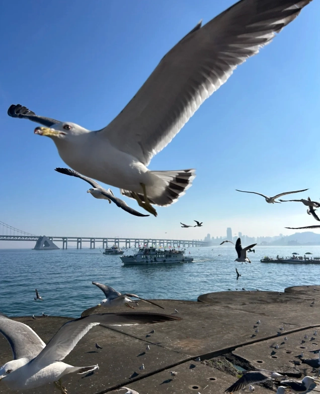 things to do in Dalian things to do in Dalian