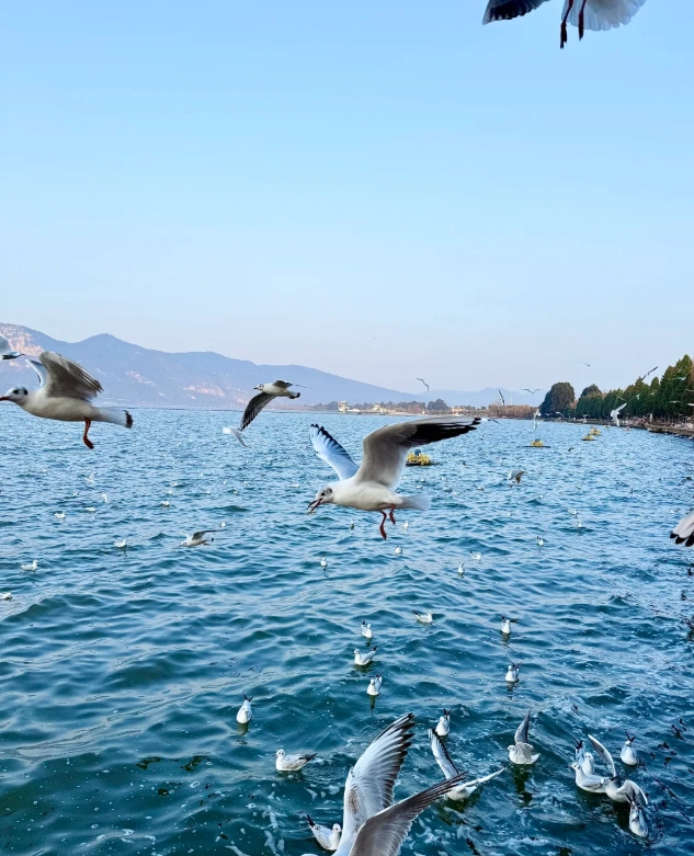 How long to spend at Dianchi Lake: Real advice from a local guide
