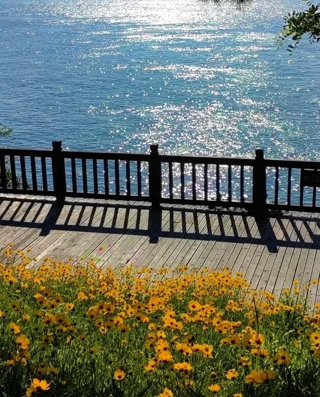 Dalian Binhai Road walking route Dalian Binhai Road walking route