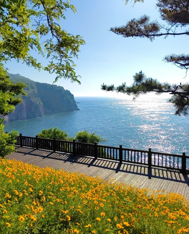 Binhai Road Boardwalk: How to Walk Dalian’s Best Coastal Trail Without Crowds
