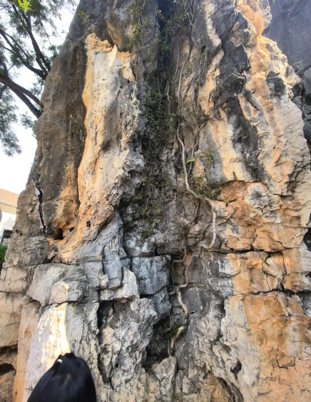 Kunming Stone Forest tickets Kunming Stone Forest tickets