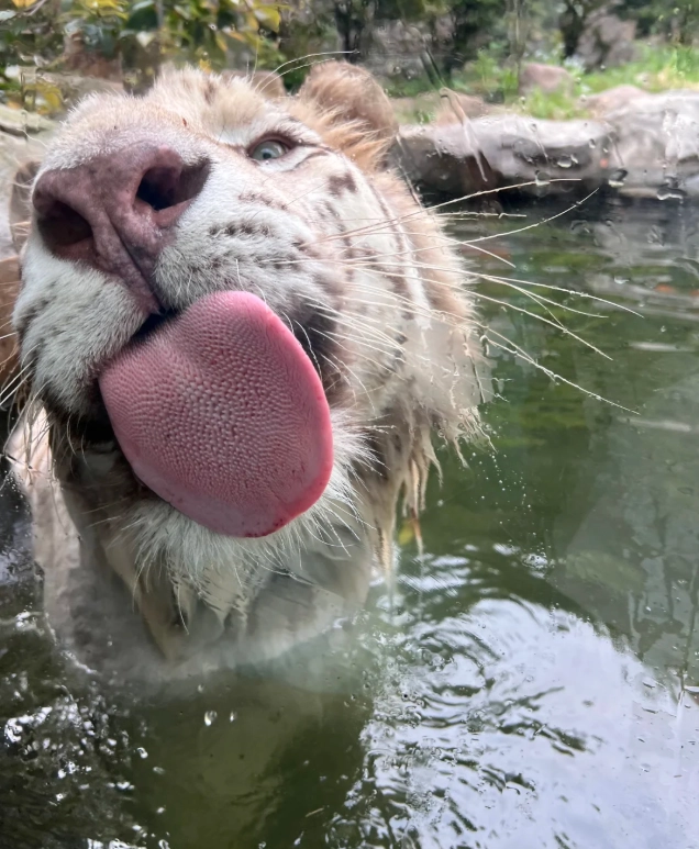 Dalian Zoo photo guide