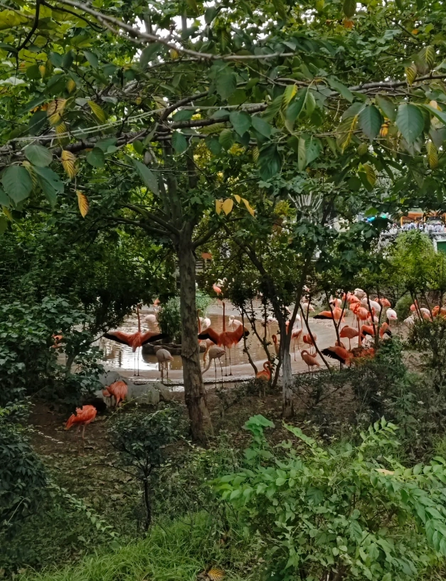 best places to take photos at Dalian Forest Zoo