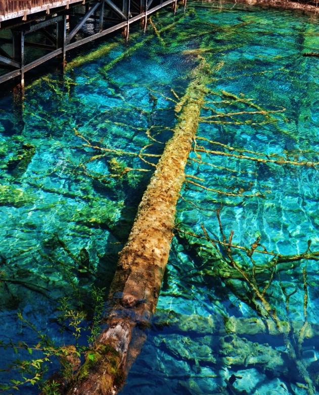 Jiuzhaigou national park visit duration Jiuzhaigou national park visit duration