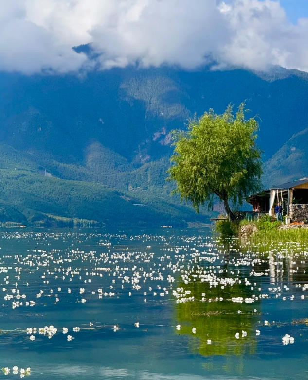 Lugu Lake travel tips Lugu Lake travel tips