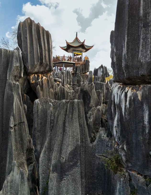 Stone Forest Scenic Area photography spots: Best locations & insider tips