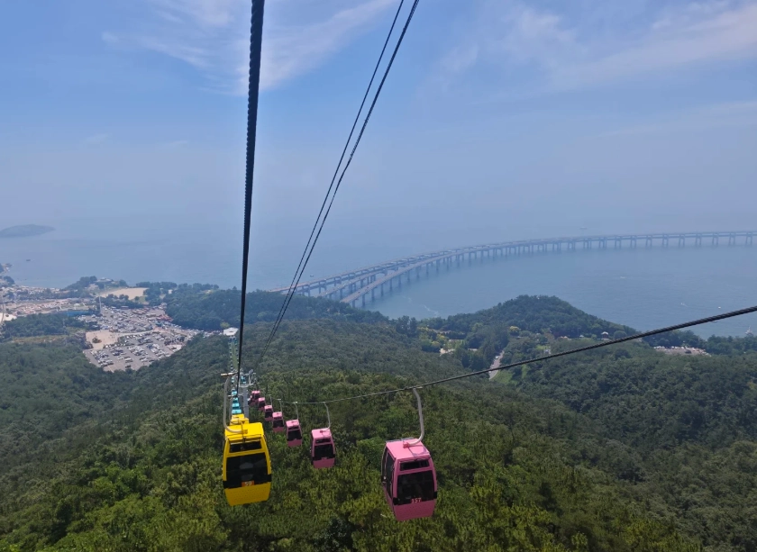 Dalian Forest Zoo transportation