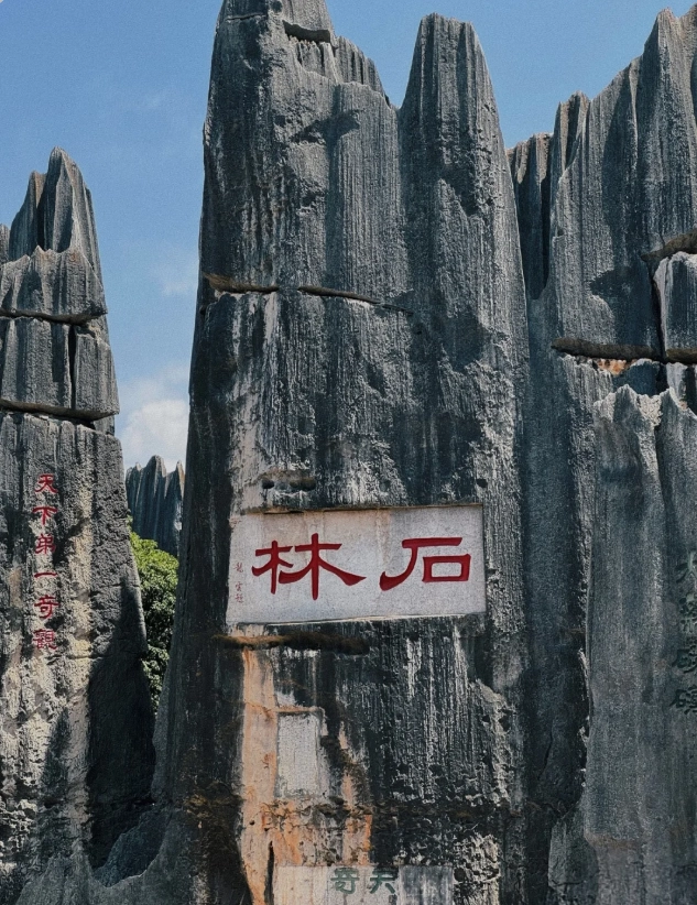How to Get to Stone Forest: 3 Mistakes & the Fastest Route