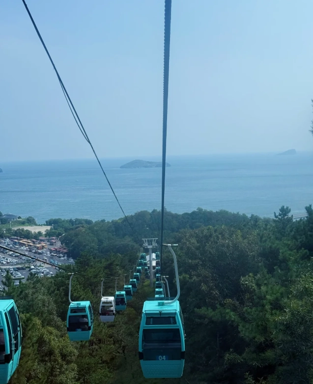 Dalian Forest Zoo how to visit