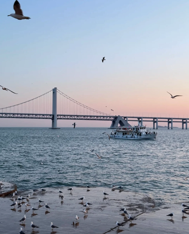 xinghai square dalian