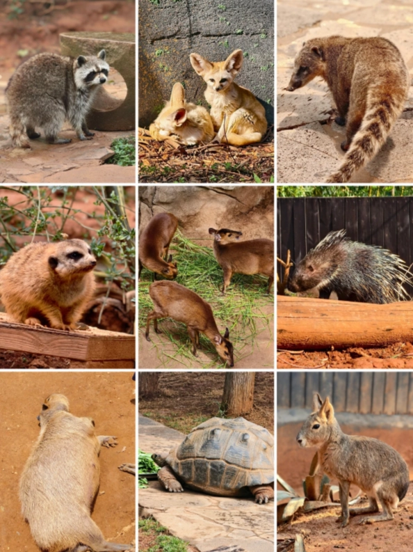 Yunnan Wildlife Park discount Yunnan Wildlife Park discount