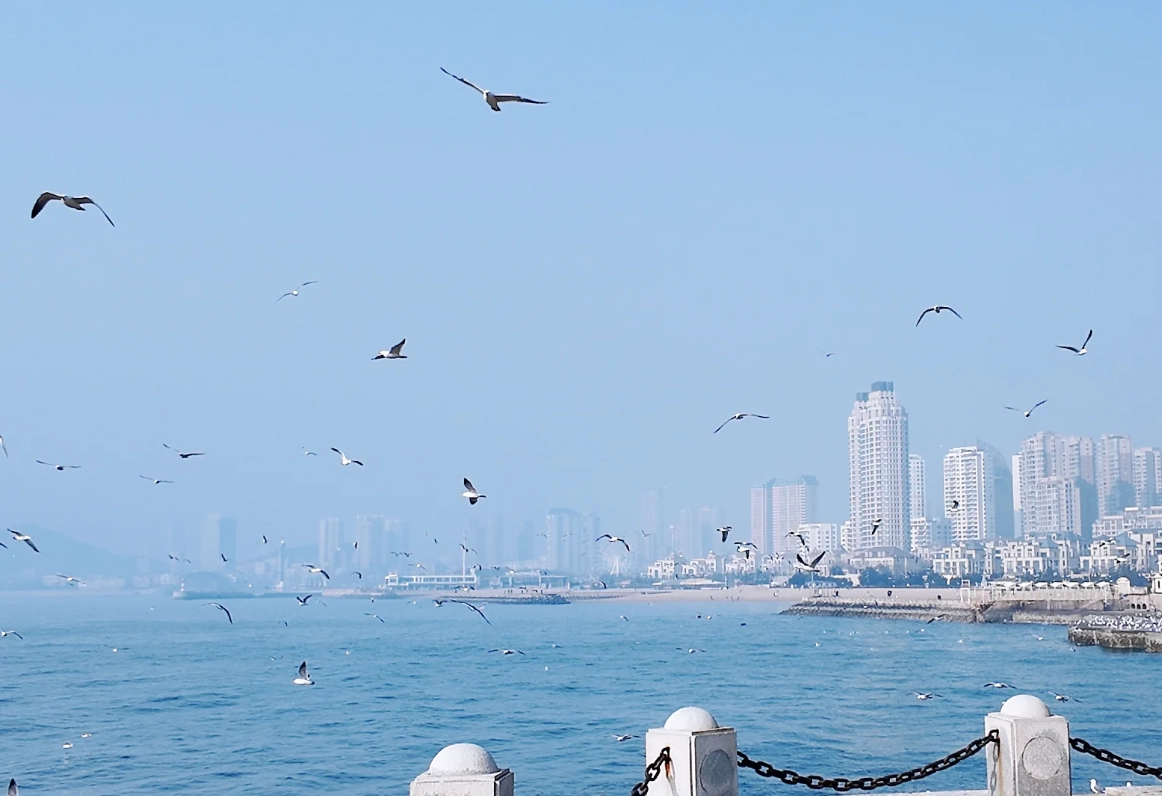 xinghai square evening visit