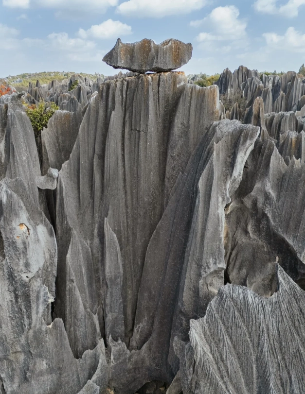 Stone Forest sunrise photography