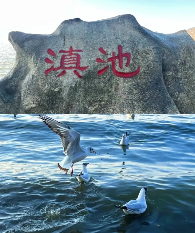Dianchi Lake Kunming