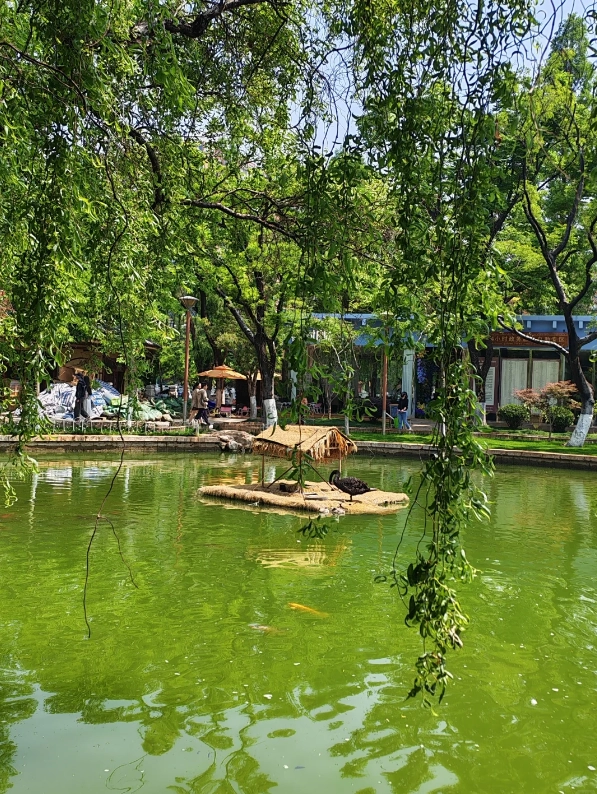Kunming attractions Kunming attractions
