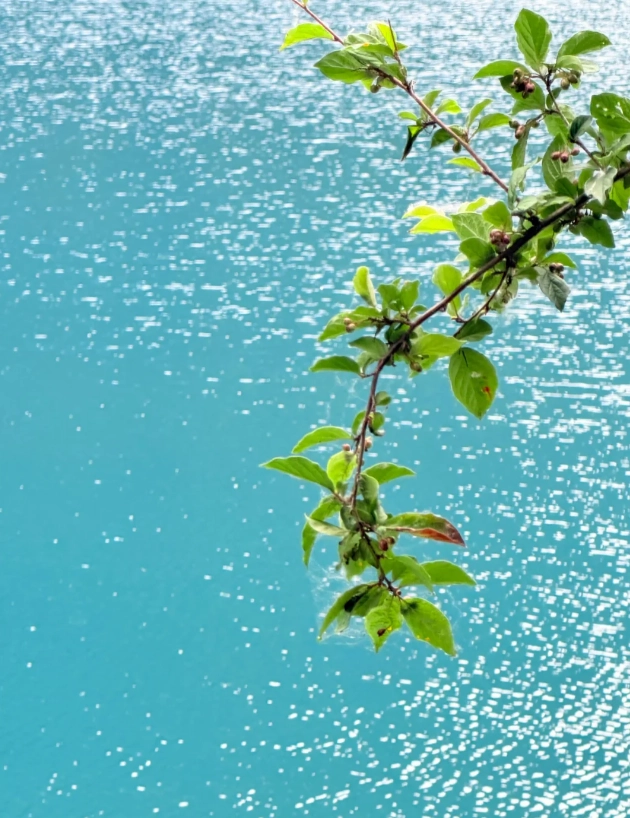 flights to jiuzhaigou flights to jiuzhaigou