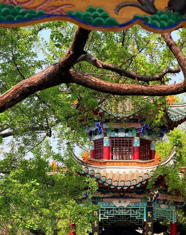 Kunming Cuihu Park tips Kunming Cuihu Park tips