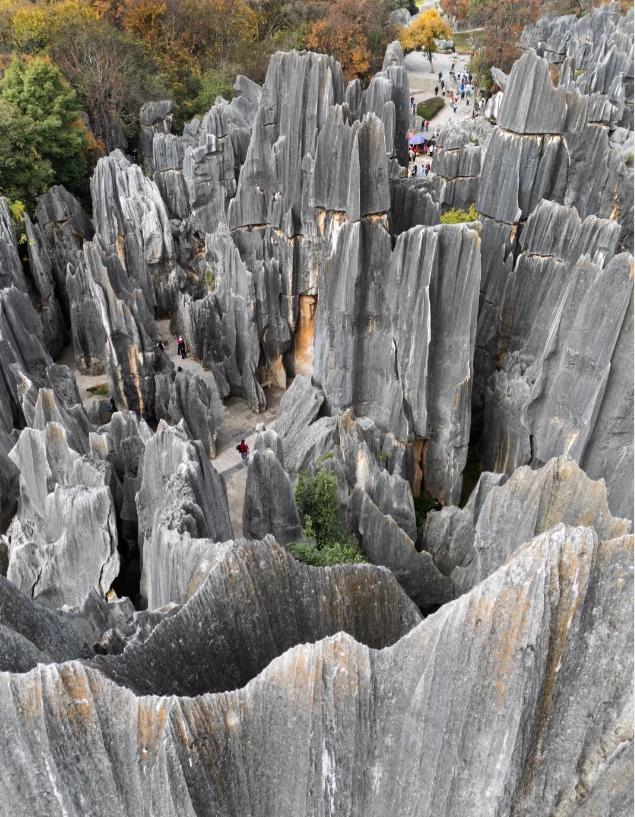 Stone Forest landscape photography