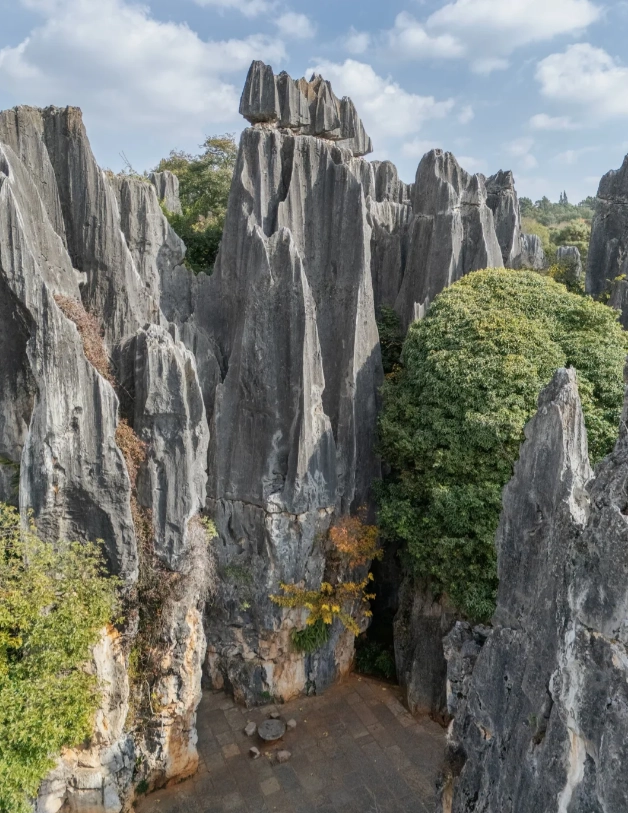 Stone Forest photo spots