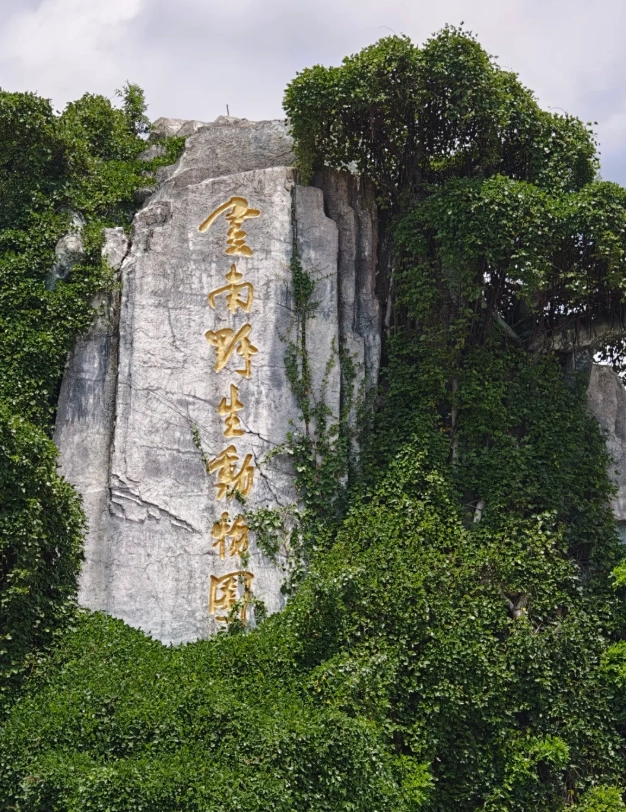 Yunnan Wildlife Park: Worth Your Time or Skip?