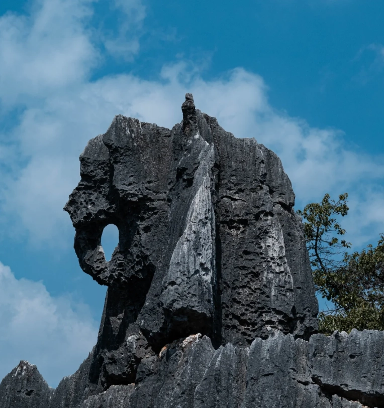 stone forest bus stone forest bus