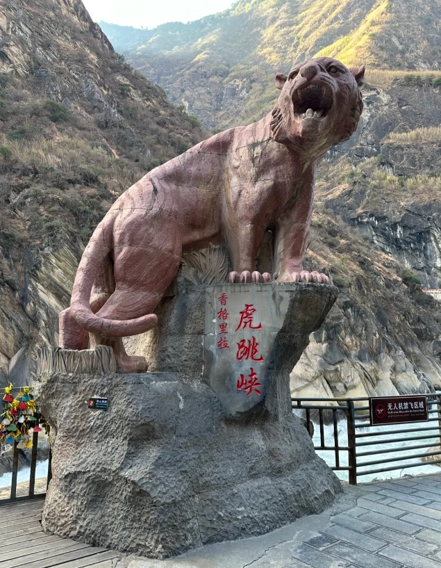tiger leaping gorge accommodation