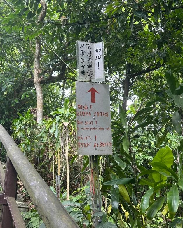 Photo of Elephant Mountain: xiangshan trail taipei