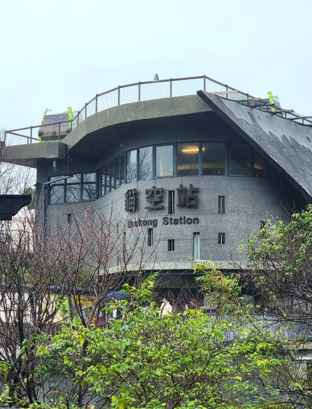 Maokong tea season Maokong tea season