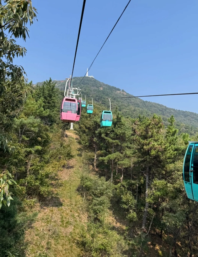 Dalian Forest Zoo tour