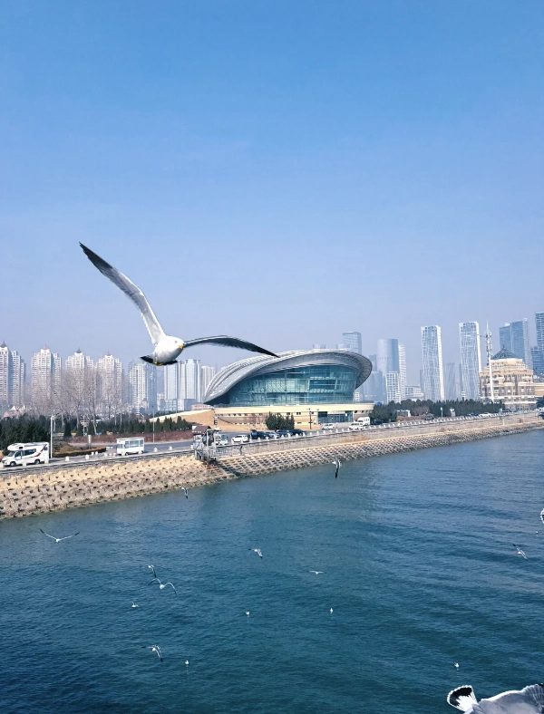 things to do xinghai square