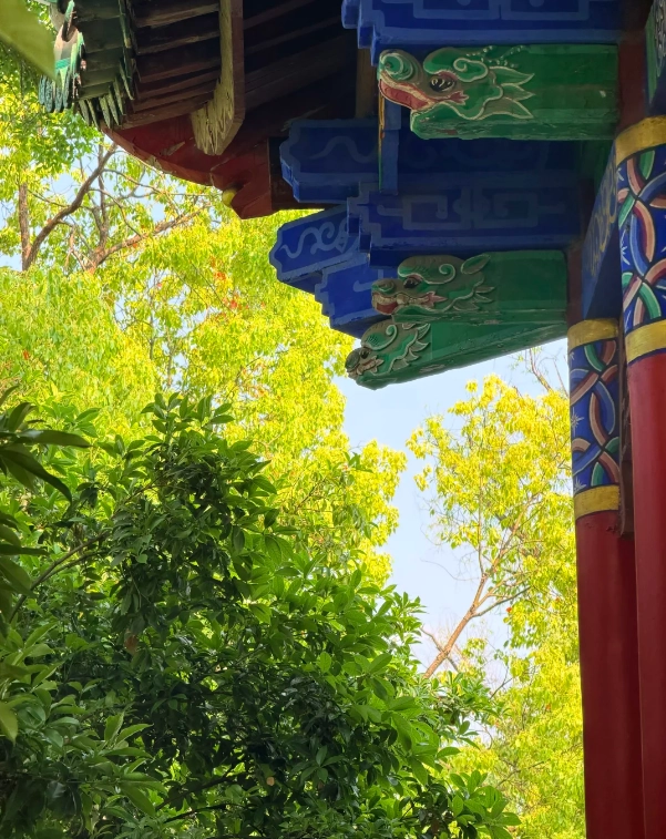things to do at Green Lake Kunming things to do at Green Lake Kunming