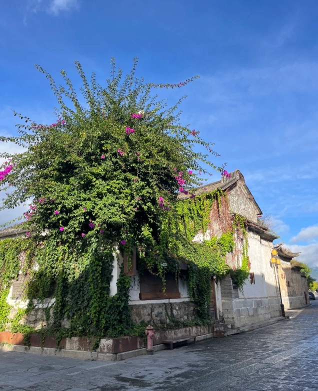 things to do in xizhou things to do in xizhou