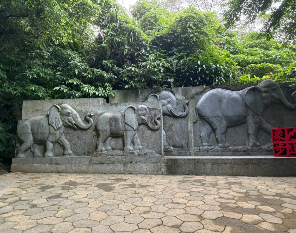 best time to hike Elephant Mountain best time to hike Elephant Mountain