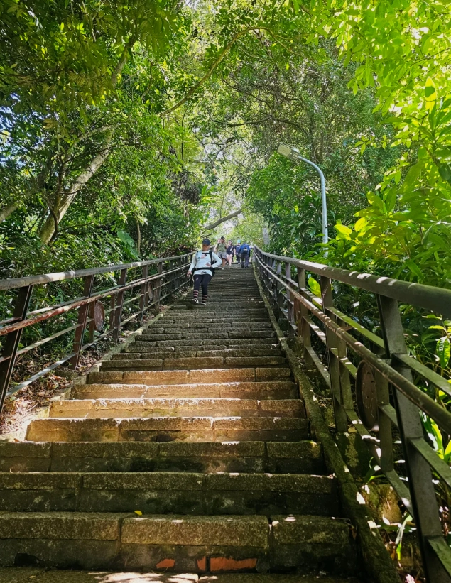 Photo of Elephant Mountain: Elephant Mountain photography spots