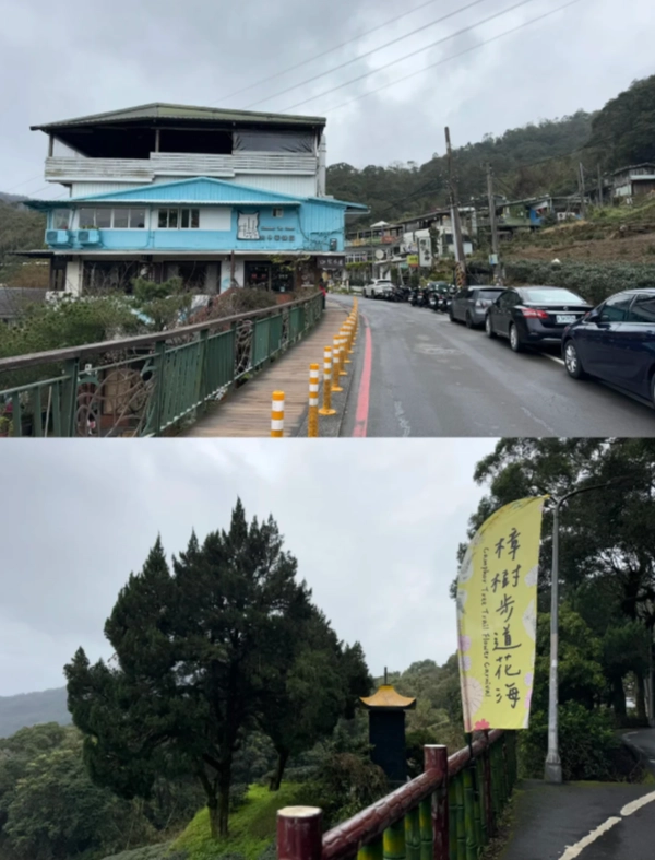 Maokong tea tasting