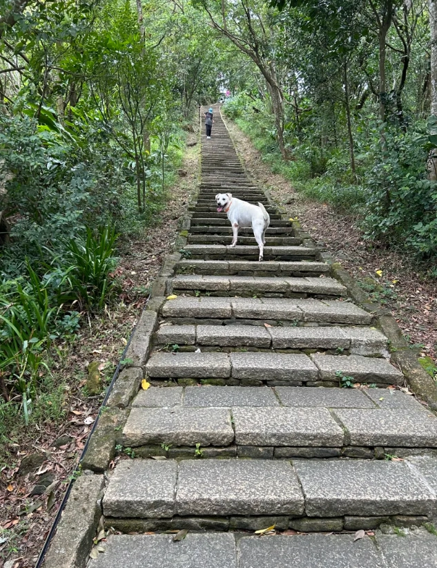 best time to visit Elephant Mountain best time to visit Elephant Mountain