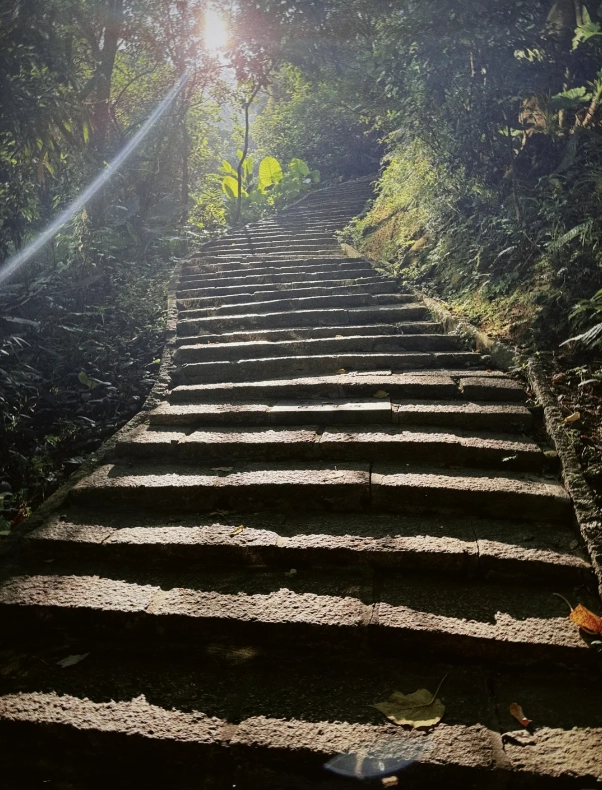 Photo of Elephant Mountain: Xiangshan hiking trail