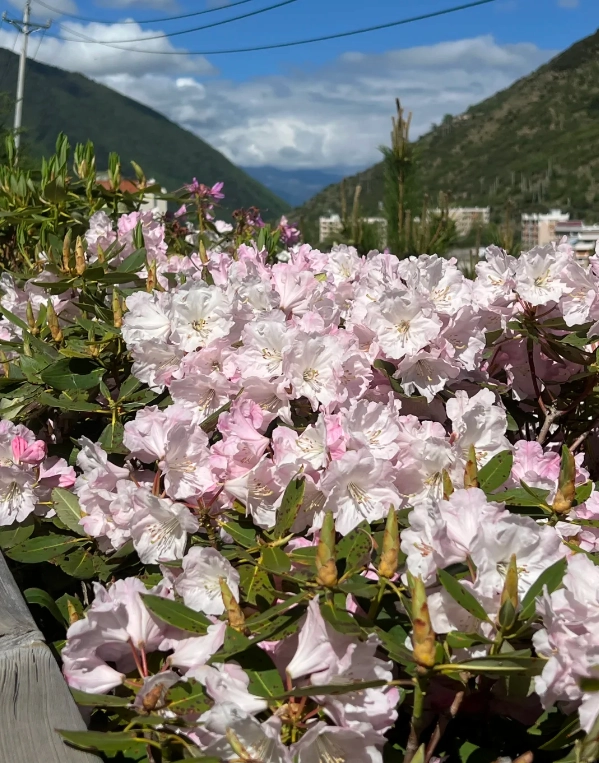 Four Sisters Mountain best season Four Sisters Mountain best season
