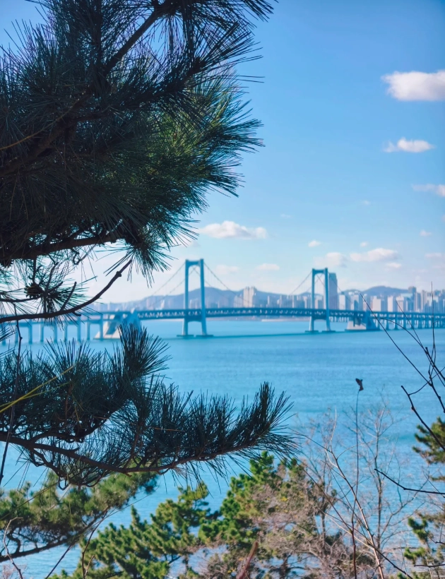 Binhai Boardwalk route Binhai Boardwalk route