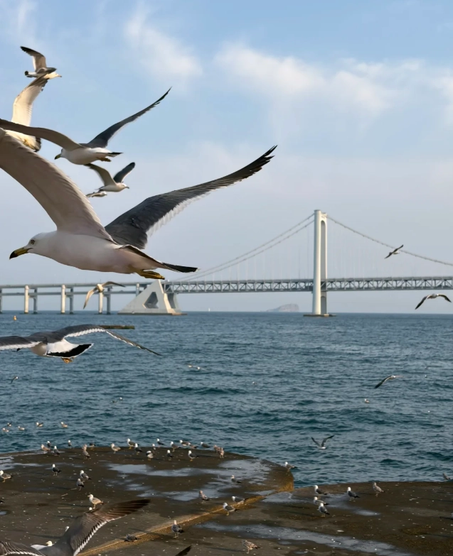 How to Get to Xinghai Square: Quick Routes & Insider Tips