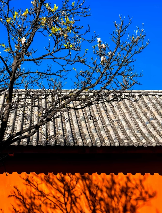 dali yunnan things to do dali yunnan things to do